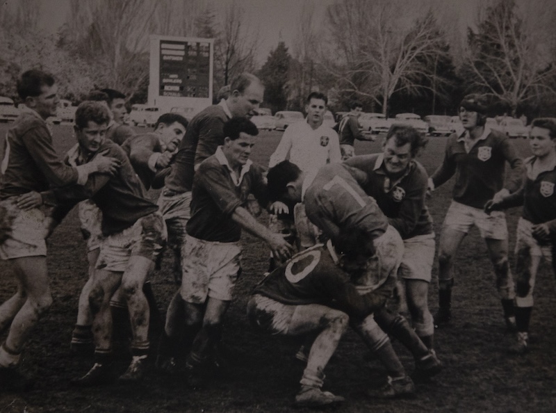 canberra royals history photos 34