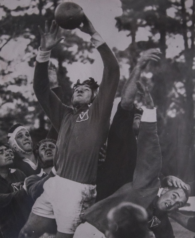canberra royals history photos 35