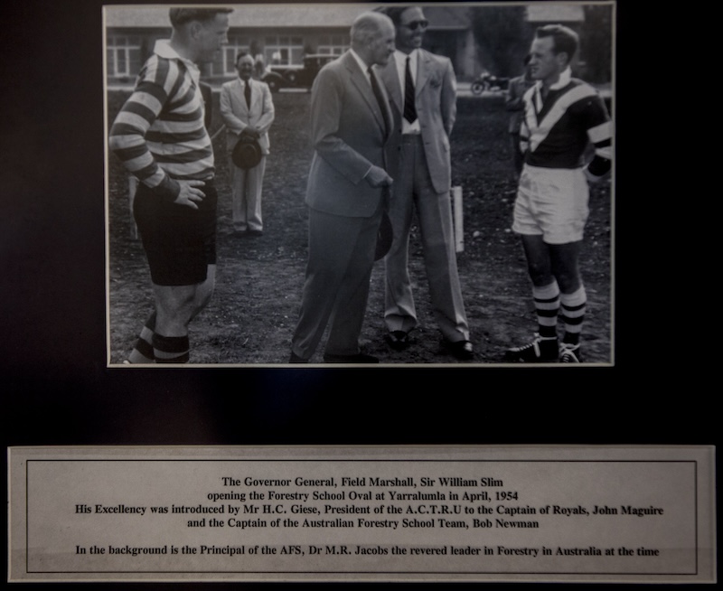 canberra royals history photos 5