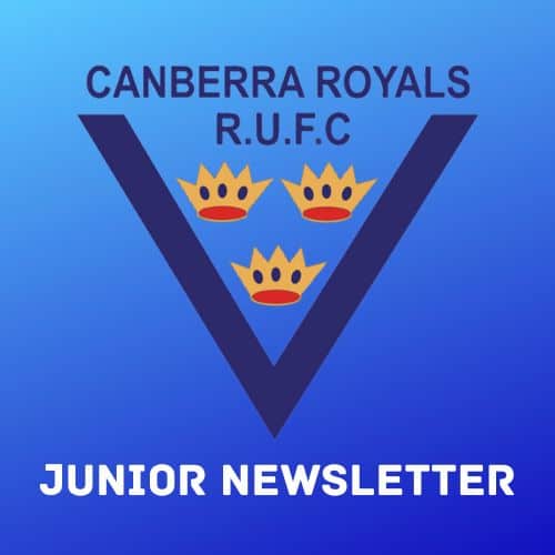 junior newsletter tile